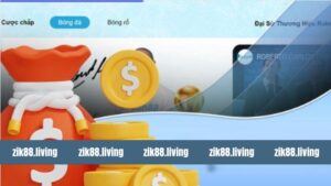 Nạp Tiền Zik88: Quy Trình Giao Dịch An Toàn Và Nhanh Chóng